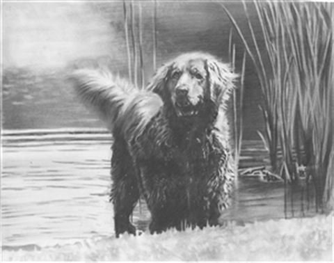 Hand Drawn Pencil Portraits from Photos | Pencil Portrait Drawing | Pencil Sketch Artists