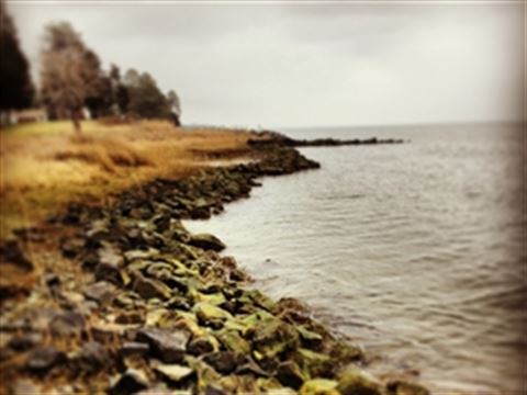 Print Photos On Canvas, Premium Photo Paper, or Fine Art Paper