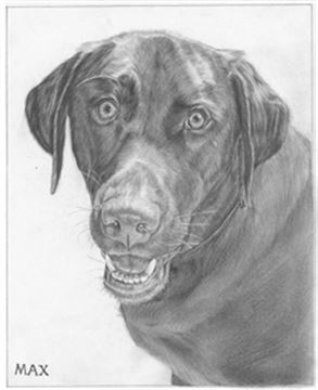 Hand Drawn Pencil Portraits from Photos | Pencil Portrait Drawing | Pencil Sketch Artists