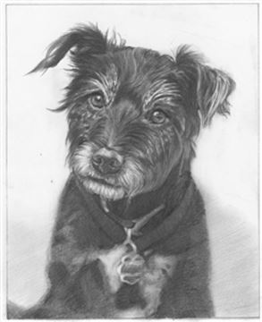 Hand Drawn Pencil Portraits from Photos | Pencil Portrait Drawing | Pencil Sketch Artists