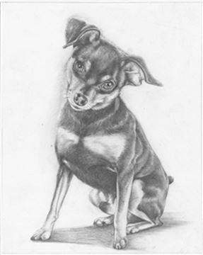 Hand Drawn Pencil Portraits from Photos | Pencil Portrait Drawing | Pencil Sketch Artists