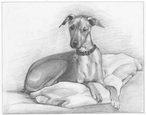 Hand Drawn Pencil Portraits from Photos | Pencil Portrait Drawing | Pencil Sketch Artists