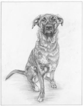 Hand Drawn Pencil Portraits from Photos | Pencil Portrait Drawing | Pencil Sketch Artists