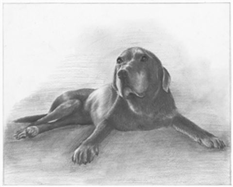 Hand Drawn Pencil Portraits from Photos | Pencil Portrait Drawing | Pencil Sketch Artists