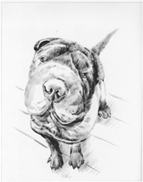 Hand Painted Ink Rendering Portraits from Photos