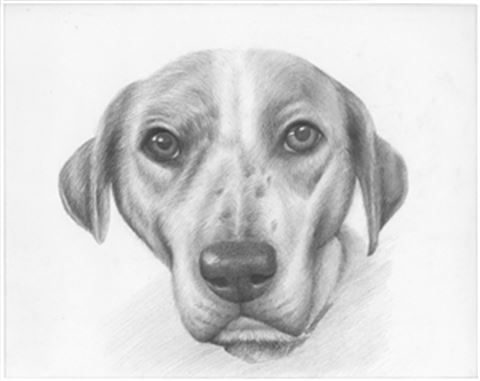 Hand Drawn Pencil Portraits from Photos | Pencil Portrait Drawing | Pencil Sketch Artists