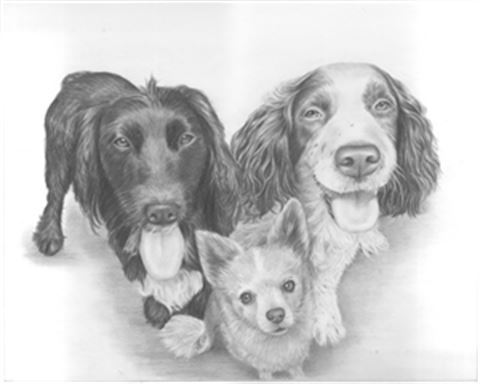Hand Drawn Pencil Portraits from Photos | Pencil Portrait Drawing | Pencil Sketch Artists