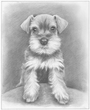 Hand Drawn Pencil Portraits from Photos | Pencil Portrait Drawing | Pencil Sketch Artists
