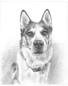 Hand Drawn Pencil Portraits from Photos | Pencil Portrait Drawing | Pencil Sketch Artists