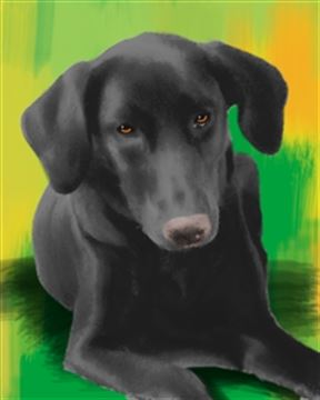 1 Panel Pop Art Portraits from Photos