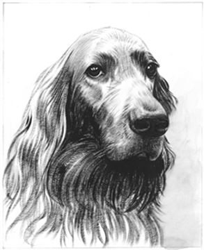 Hand Painted Ink Rendering Portraits from Photos