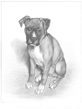 Hand Drawn Pencil Portraits from Photos | Pencil Portrait Drawing | Pencil Sketch Artists