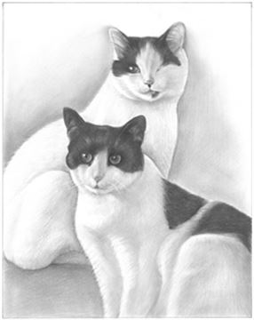 Hand Drawn Pencil Portraits from Photos | Pencil Portrait Drawing | Pencil Sketch Artists