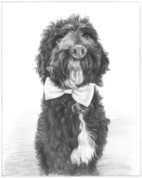 Hand Drawn Pencil Portraits from Photos | Pencil Portrait Drawing | Pencil Sketch Artists