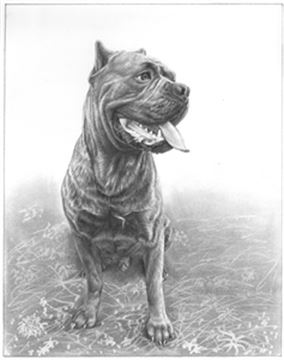 Hand Drawn Pencil Portraits from Photos | Pencil Portrait Drawing | Pencil Sketch Artists