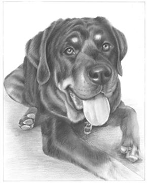 Hand Drawn Pencil Portraits from Photos | Pencil Portrait Drawing | Pencil Sketch Artists