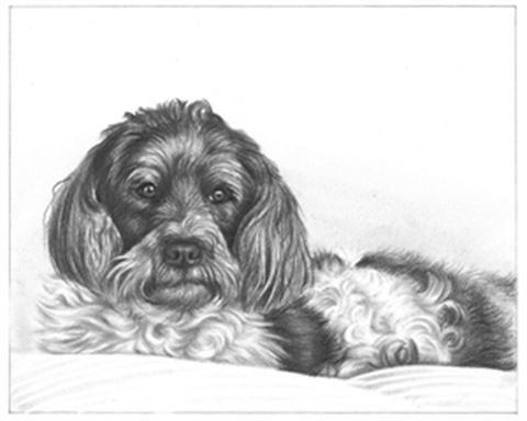 Hand Drawn Pencil Portraits from Photos | Pencil Portrait Drawing | Pencil Sketch Artists