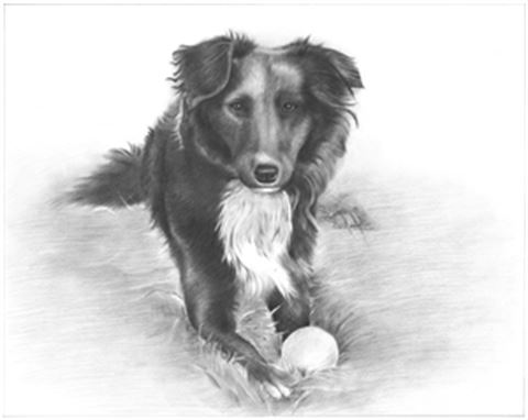 Hand Drawn Pencil Portraits from Photos | Pencil Portrait Drawing | Pencil Sketch Artists