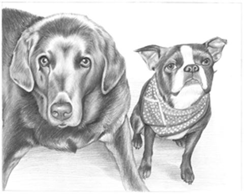 Hand Drawn Pencil Portraits from Photos | Pencil Portrait Drawing | Pencil Sketch Artists