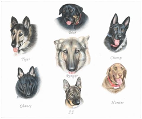Hand Drawn Colored Pencil Portraits from Photos | Colored Pencil Drawings from Photos
