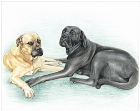Hand Drawn Colored Pencil Portraits from Photos | Colored Pencil Drawings from Photos