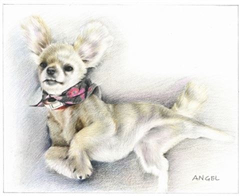 Hand Drawn Colored Pencil Portraits from Photos | Colored Pencil Drawings from Photos