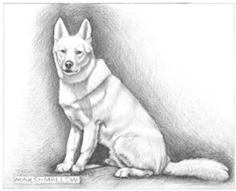 Hand Drawn Pencil Portraits from Photos | Pencil Portrait Drawing | Pencil Sketch Artists