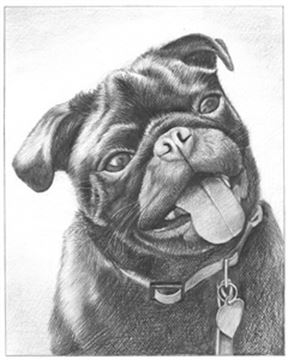 Hand Drawn Pencil Portraits from Photos | Pencil Portrait Drawing | Pencil Sketch Artists