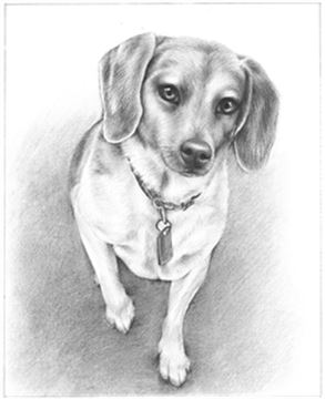 Hand Drawn Pencil Portraits from Photos | Pencil Portrait Drawing | Pencil Sketch Artists
