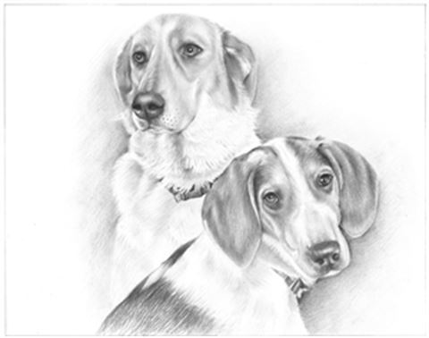 Hand Drawn Pencil Portraits from Photos | Pencil Portrait Drawing | Pencil Sketch Artists