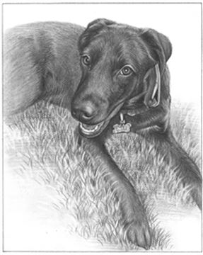 Hand Drawn Pencil Portraits from Photos | Pencil Portrait Drawing | Pencil Sketch Artists