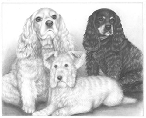 Hand Drawn Pencil Portraits from Photos | Pencil Portrait Drawing | Pencil Sketch Artists