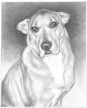 Hand Drawn Pencil Portraits from Photos | Pencil Portrait Drawing | Pencil Sketch Artists