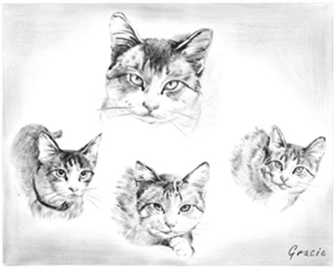 Hand Painted Ink Rendering Portraits from Photos