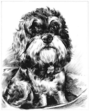 Hand Painted Ink Rendering Portraits from Photos