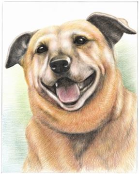 Hand Drawn Colored Pencil Portraits from Photos | Colored Pencil Drawings from Photos