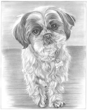 Hand Drawn Pencil Portraits from Photos | Pencil Portrait Drawing | Pencil Sketch Artists