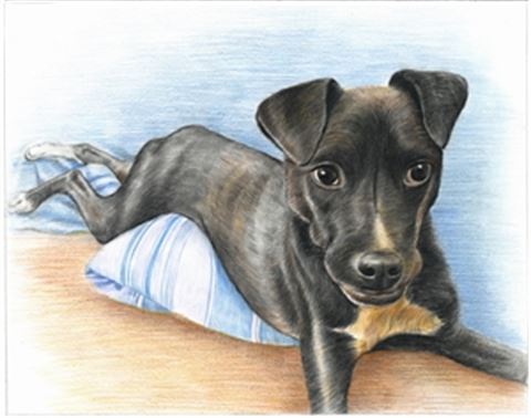 Hand Drawn Colored Pencil Portraits from Photos | Colored Pencil Drawings from Photos