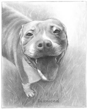 Hand Drawn Pencil Portraits from Photos | Pencil Portrait Drawing | Pencil Sketch Artists