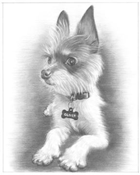 Hand Drawn Pencil Portraits from Photos | Pencil Portrait Drawing | Pencil Sketch Artists