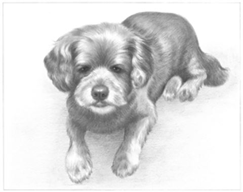 Hand Drawn Pencil Portraits from Photos | Pencil Portrait Drawing | Pencil Sketch Artists