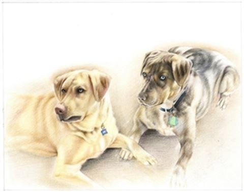 Hand Drawn Colored Pencil Portraits from Photos | Colored Pencil Drawings from Photos