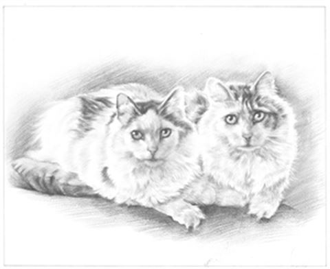 Hand Drawn Pencil Portraits from Photos | Pencil Portrait Drawing | Pencil Sketch Artists