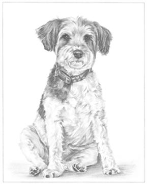 Hand Drawn Pencil Portraits from Photos | Pencil Portrait Drawing | Pencil Sketch Artists