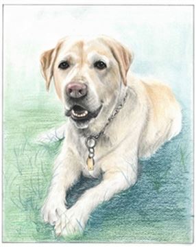 Hand Drawn Colored Pencil Portraits from Photos | Colored Pencil Drawings from Photos