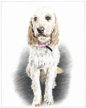Hand Drawn Colored Pencil Portraits from Photos | Colored Pencil Drawings from Photos