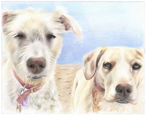Hand Drawn Colored Pencil Portraits from Photos | Colored Pencil Drawings from Photos