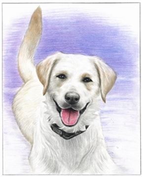 Hand Drawn Colored Pencil Portraits from Photos | Colored Pencil Drawings from Photos