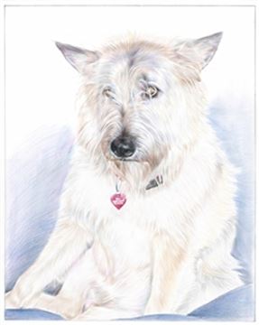 Hand Drawn Colored Pencil Portraits from Photos | Colored Pencil Drawings from Photos
