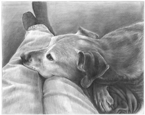 Hand Drawn Pencil Portraits from Photos | Pencil Portrait Drawing | Pencil Sketch Artists